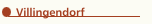 Villingendorf